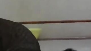 Cat Goes Postal on Snake