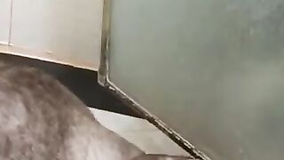 Cats Play Tug-of-War with Snake