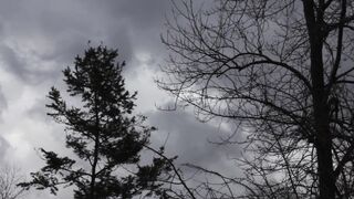 4K Resolution Video | Trending HD Video