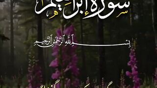 Tilawat e Quran Majeed 39