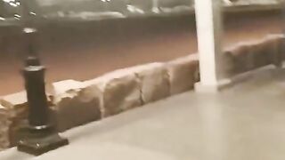 Beautiful Night View of Roza e Rasool ﷺ | Masjid e Nabwi Madina Shareef