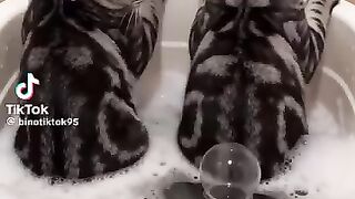 قطط مضحكه جدا