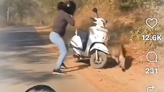 Wild Animal Attack 2