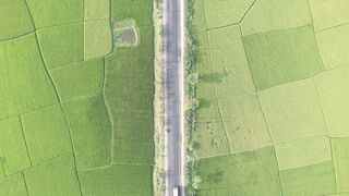 Cartier - id | Trending HD Video 60