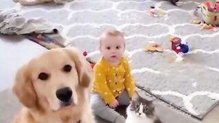 0041_KOT (✷ᴗ ✷)