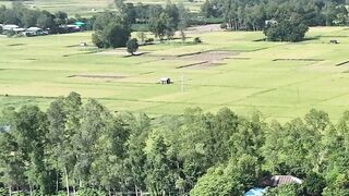 4K resolution - aerial view of bangladesh scenic countryside | Trending HD Video