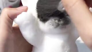 Vídeo satisfatório #2♡