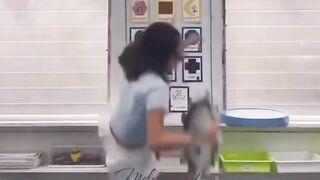 Funny videos ???????????????? 16