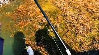 Small Effort = BIG Results… But This Mistake Can Destroy Everything! ⚠️????