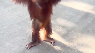 hei... ma men what’s up