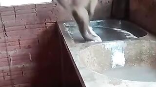 Time to give my clothes a bubble bath!