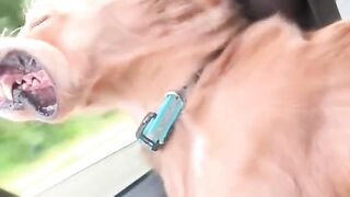 This wind is having a party!