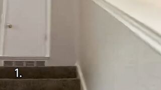 Cats are so funny ????????????.mp4