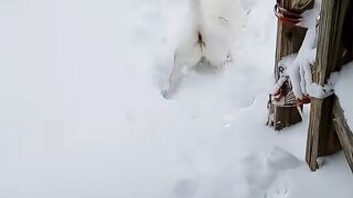 Cats but they keep getting warmer ????????.mp4