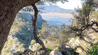 Very green and beautiful switzerland