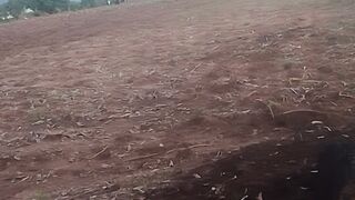 Cultivating green In Sri Lanka