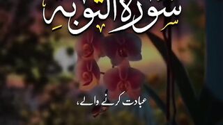 Tilawat e Quran Majeed 40
