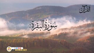 Surah Al Baqrah by Qari Abdul Mateen Shaheen