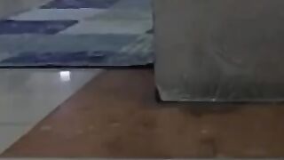 Cat Plays with Frog 5