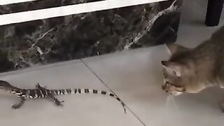 Cat Makes a Move on Lizard.