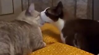 Was It Something I Said