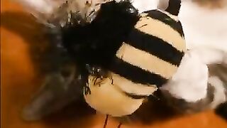 Delicious Catnip Bee!