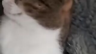 When We Wake Up Together 2