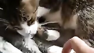 I Won't Let You Take My Toy Away!