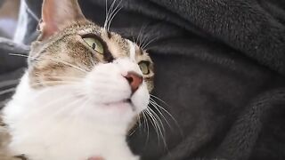 Heliana Knows The Purr-Purr Way