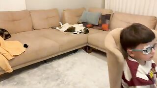 The TV remote in this house is always in this giant cat’s paws.