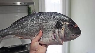 Three eyeless cats see their rescuer with their hearts.