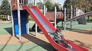 Cute cats greet you at the border gates of this country.