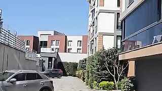 A Gallows-Style Rope Lowered from the Balcony to a Street Cat