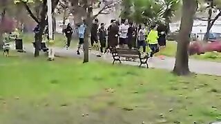 The stray dog that runs with the athletes and wins the race by cheating.