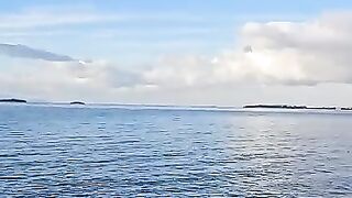 Istanbul and cats, The most peaceful and delightful view in the world.