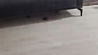 While cleaning in a house full of cats, cute paws can come out of every hole.