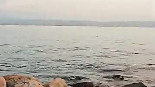 This is a cat story for you, an eternal love story for me.