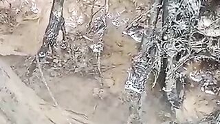 Looking for a fish or eel.. Thanks for watching..!! 74