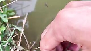 Looking for a fish or eel videos.. Thanks for watching..!! 5