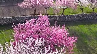 Pakistan beautiful explore ❤️❤️