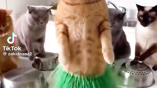 مامے نوں اے گل کہنی آں پنج سو عیدی لینی ا