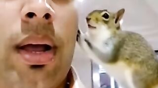 কাঠবিড়ালের সাথে দুষ্টামি করলাম