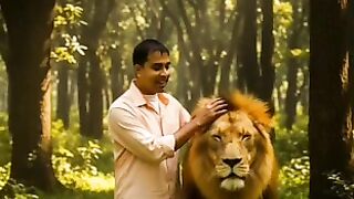 The tiger roams the village.