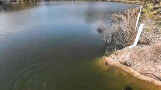 He Cast for Fish… But Found Something Deeper ????