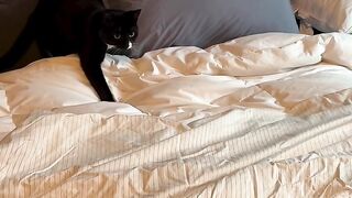 Making the bed in our home is a full day job.