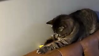 Freya has discovered a new game. ????