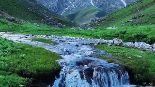 Very green beautiful beauti