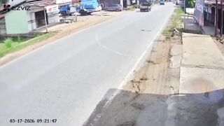 Sapi Tewas Usai Tertabrak Mobil di Jalan Poros