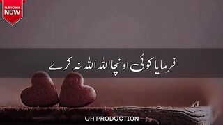 Allah Ke Habibﷺ Ne Farmaya????
