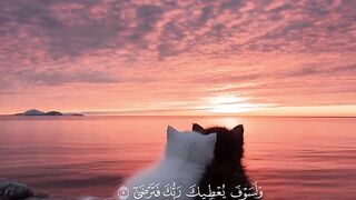 Quran paak Tilawat 12